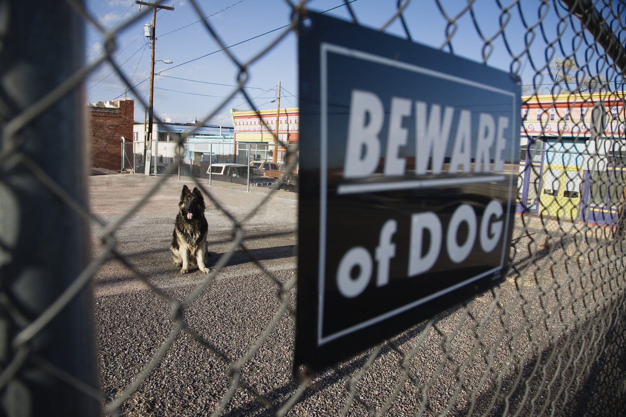 dog bite lawyer LaGrange, GA