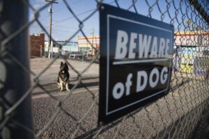 Dog Bite Lawyer in College Park, GA